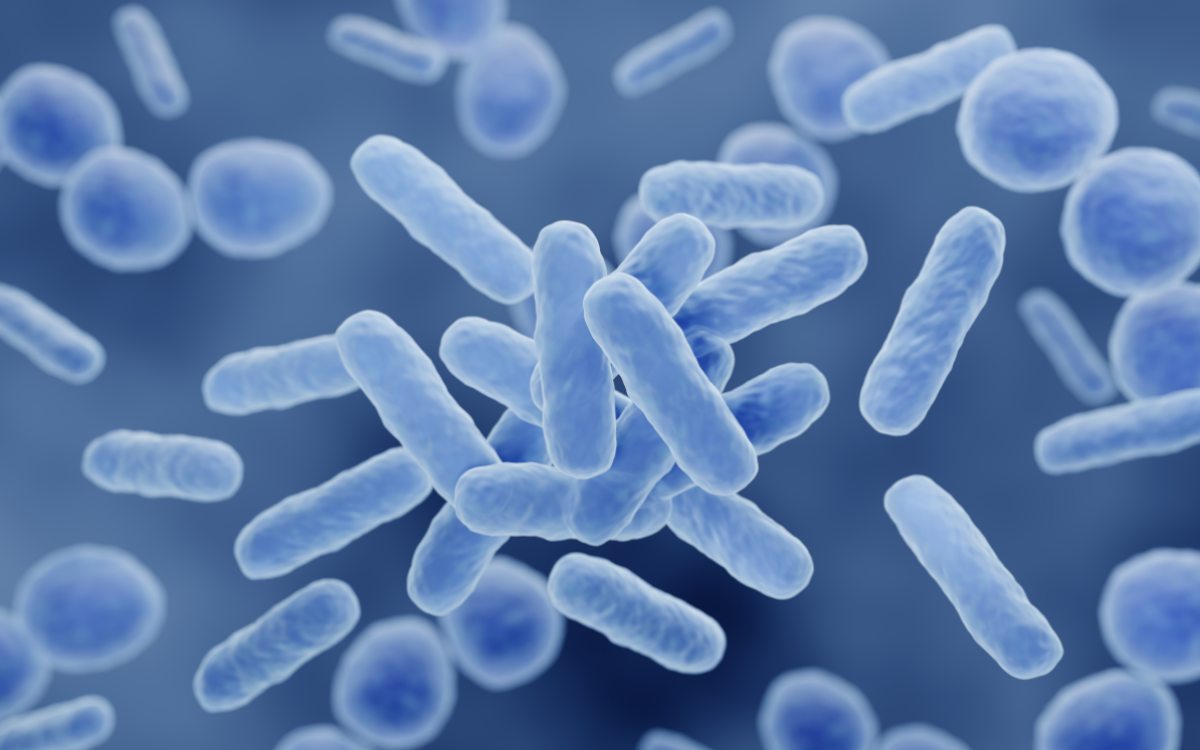 Do Probiotics Boost Your Immune Function?